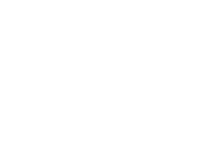 NTM Holding